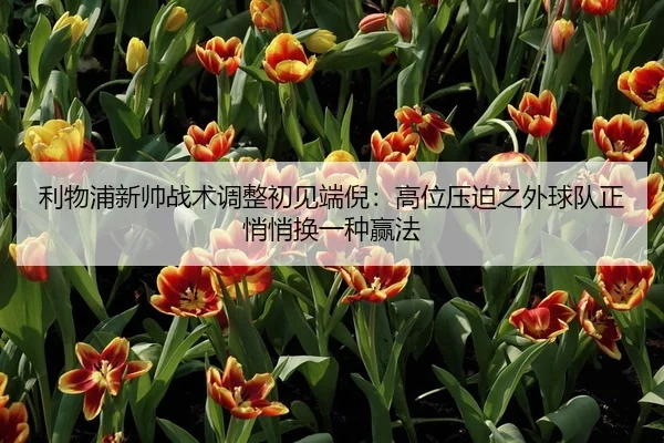 利物浦新帅战术调整初见端倪：高位压迫之外球队正悄悄换一种赢法